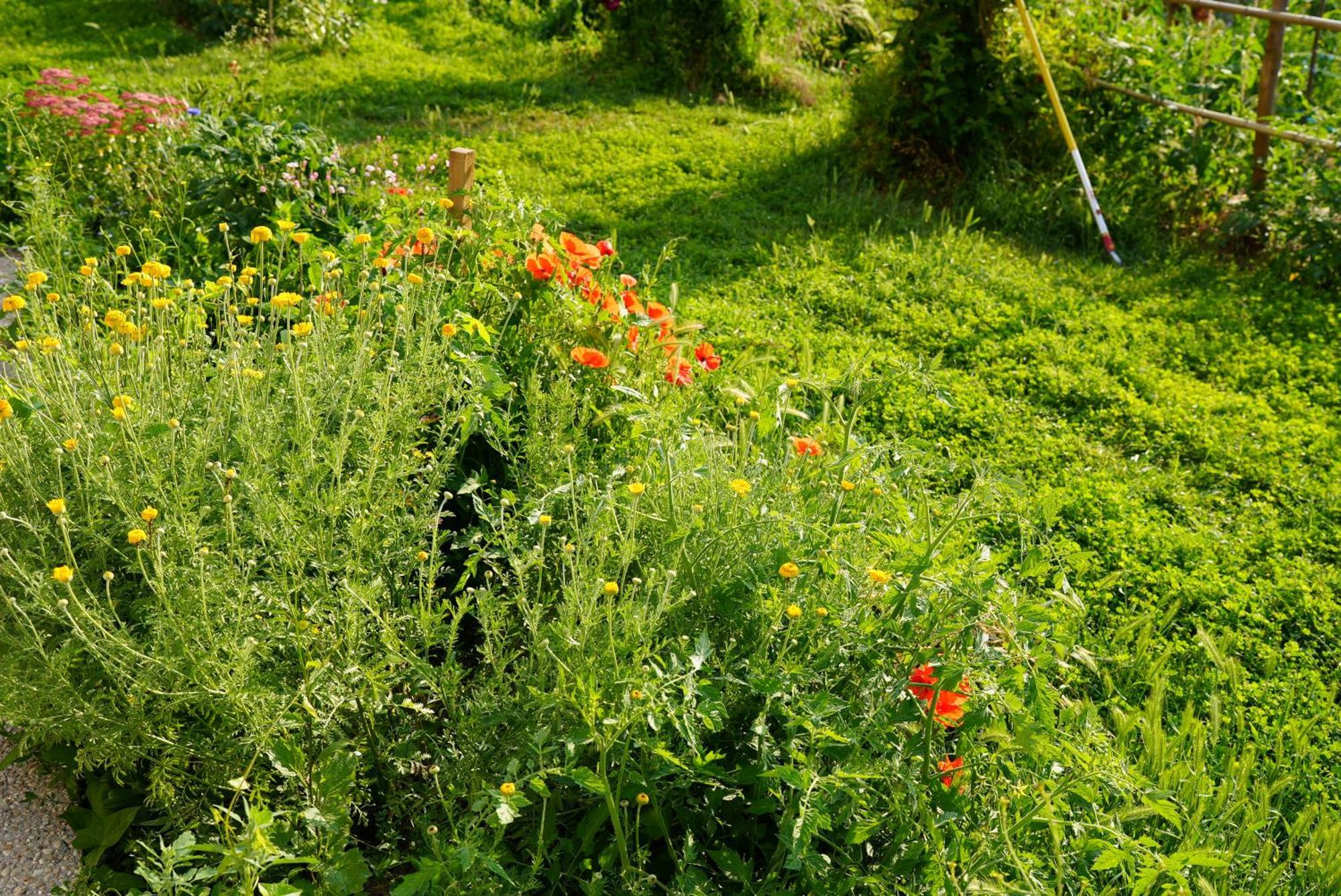 Vila Les Jardins De Felicie Poses Exteriér fotografie