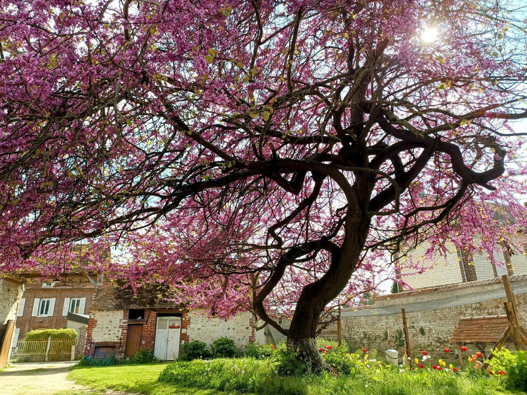 Vila Les Jardins De Felicie Poses Exteriér fotografie