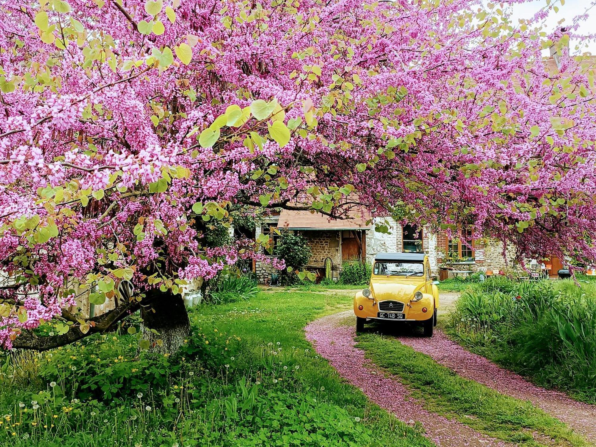 Vila Les Jardins De Felicie Poses Exteriér fotografie